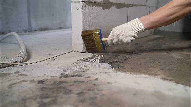Crawl space vapor barrier installation in Olivet, MI